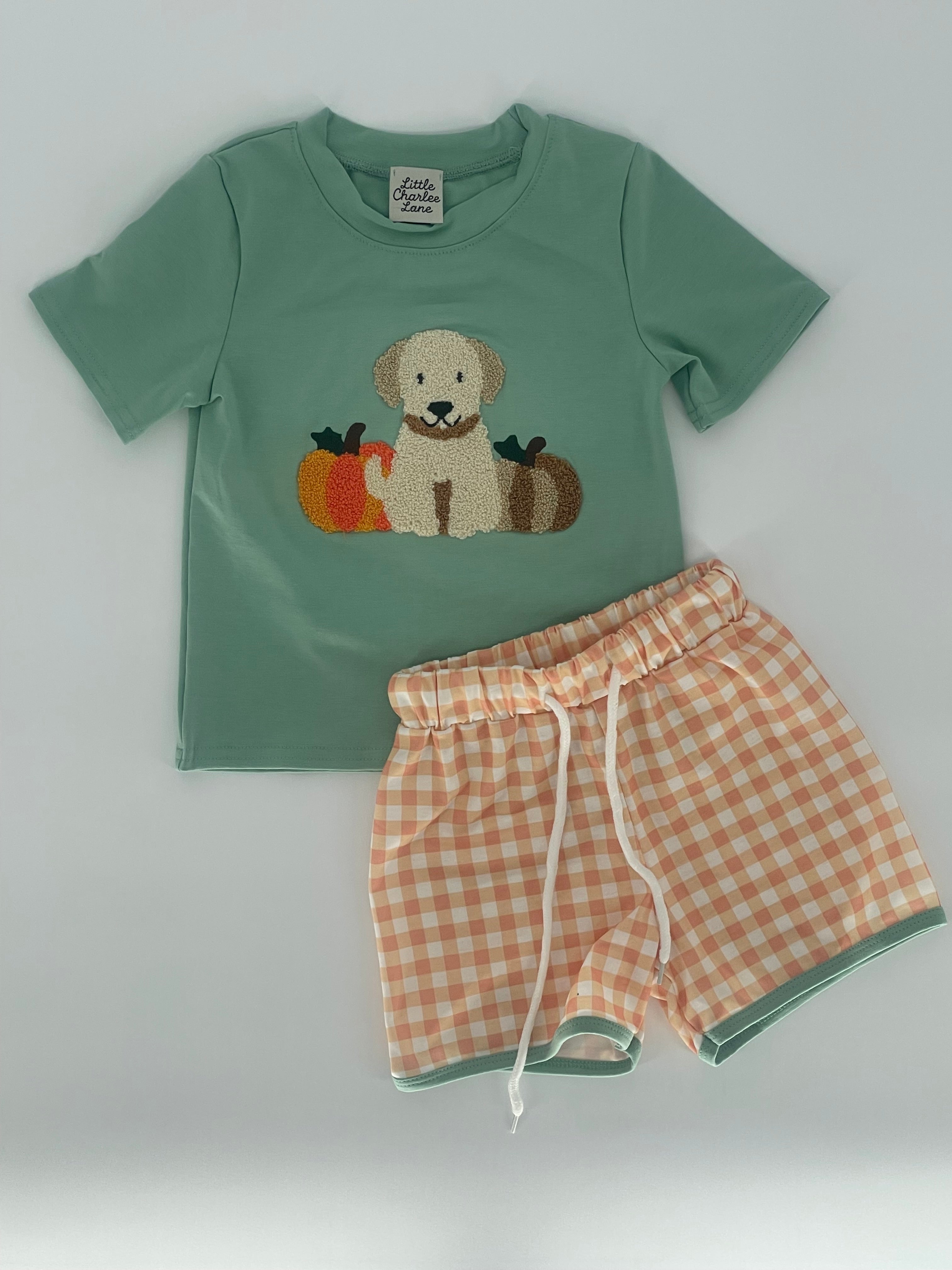 Pumpkins and Puppies