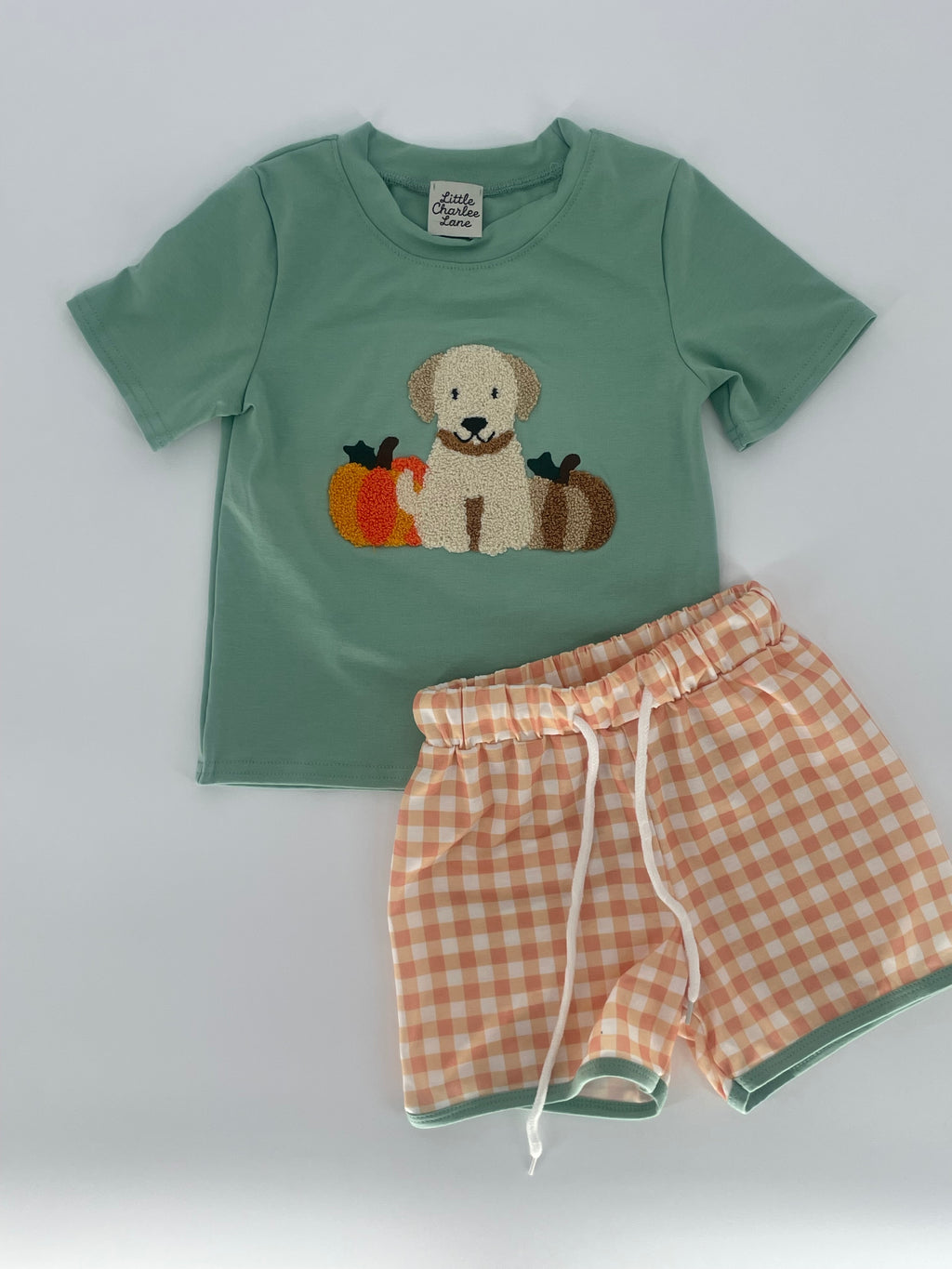 Pumpkins and Puppies