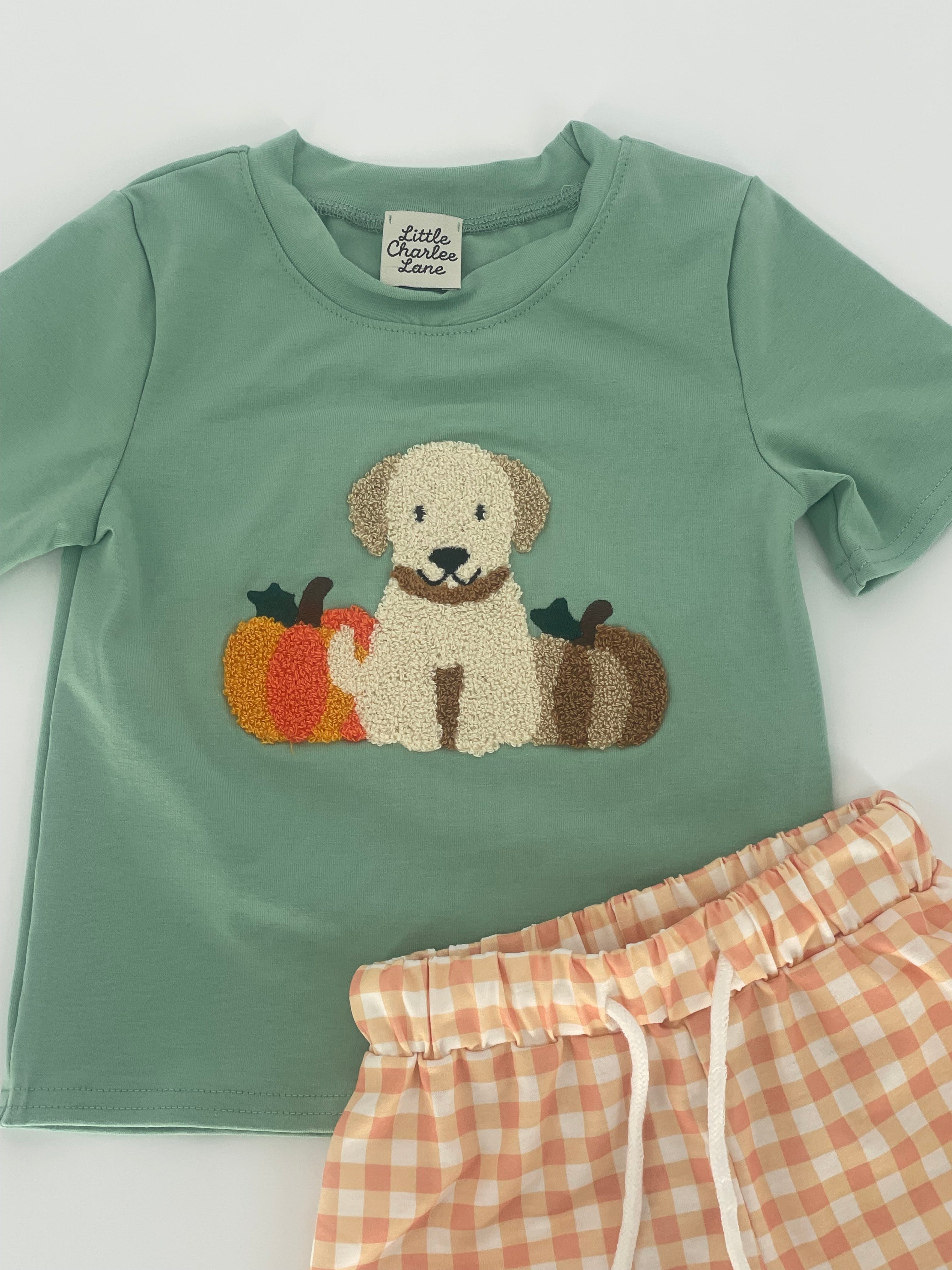 Pumpkins and Puppies